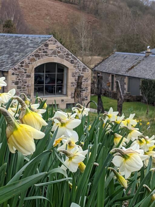 Ferienwohnung Woodmill Arches - Designer Barn Conversion For Two Lindores Exterior foto